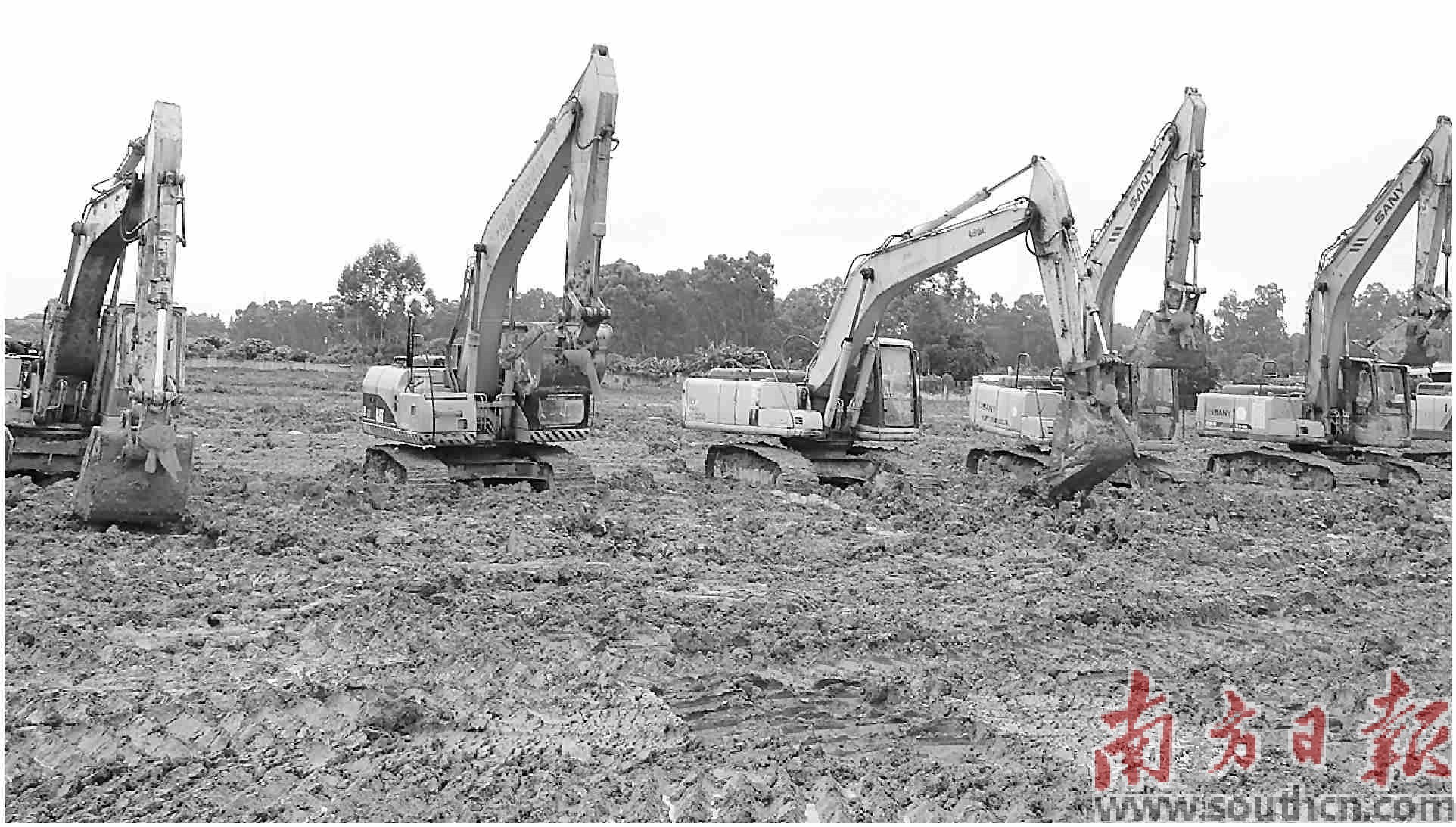 横沥优质高效服务激活发展新动能