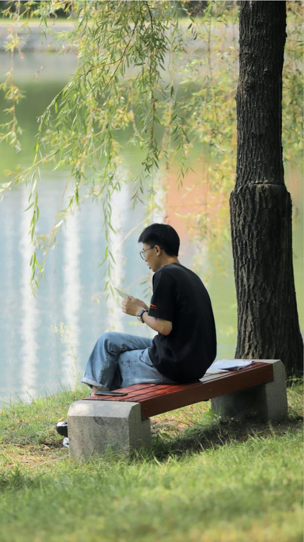 山东十大最美校园,山东最美校园大学