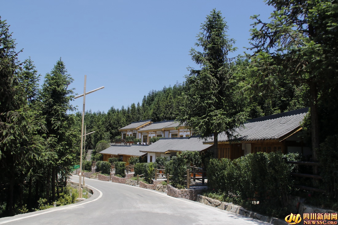 青岛嗨生活,海边嗨生活