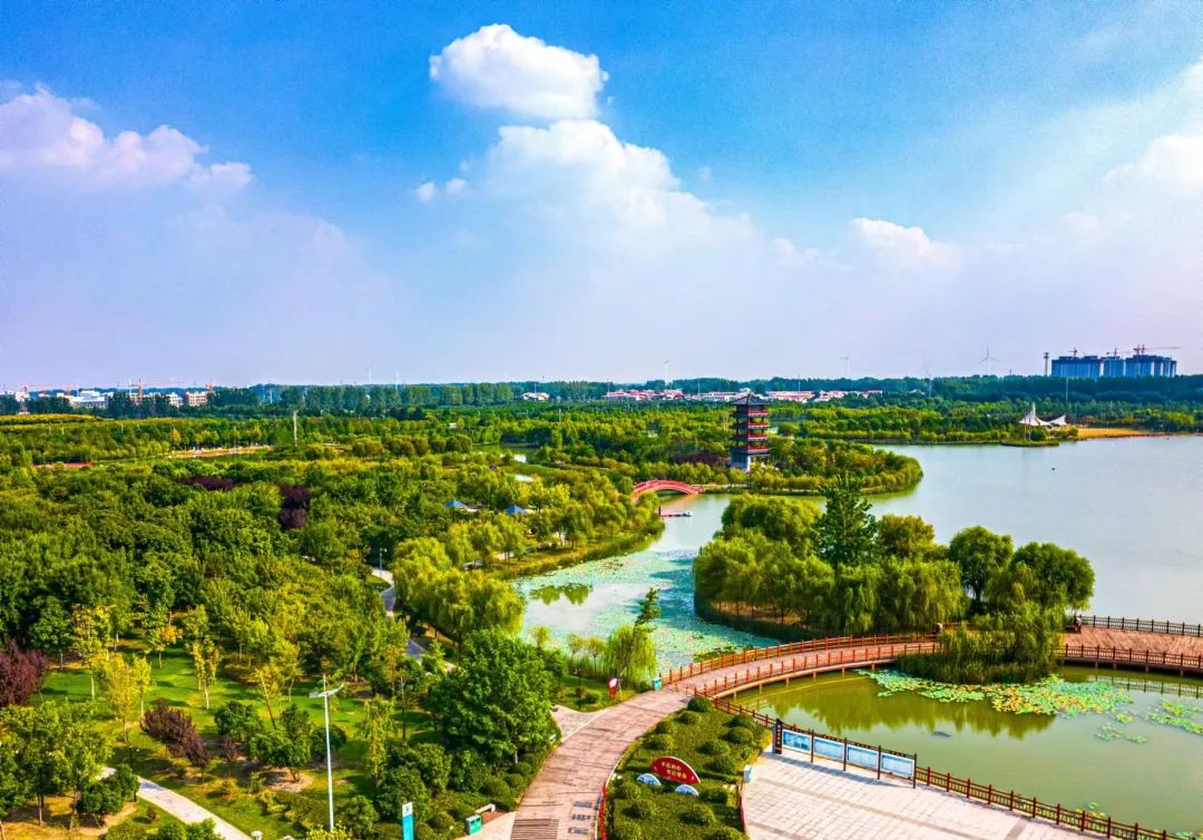 临颍最美千亩湖,临颍县千亩森林公园