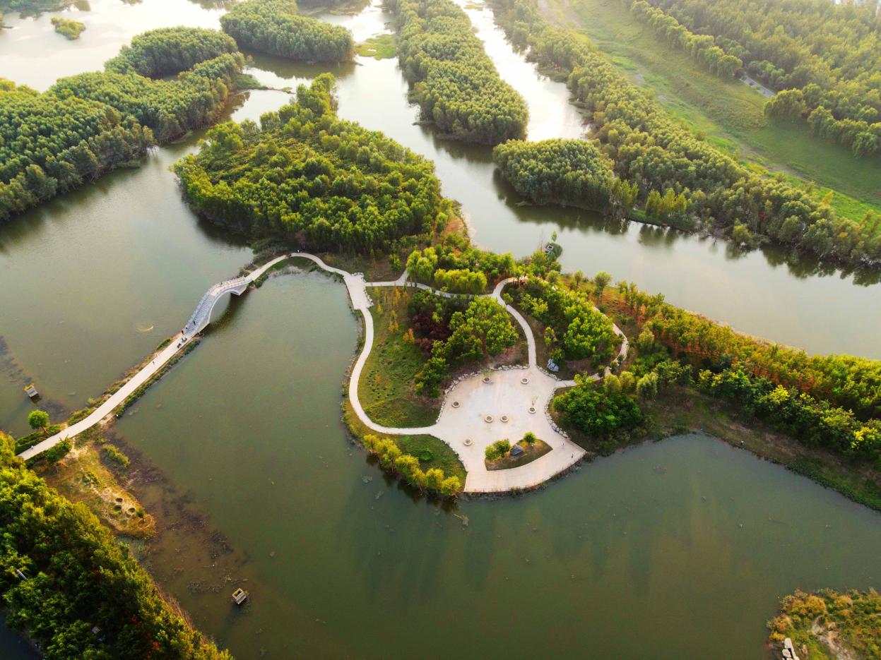 秋分乐庆丰收,秋分时节庆丰收