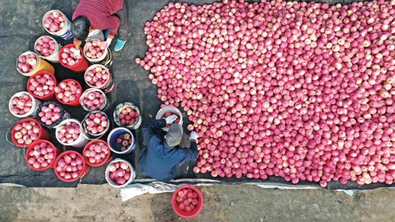 一路向北陕西,一路向北陕西之行