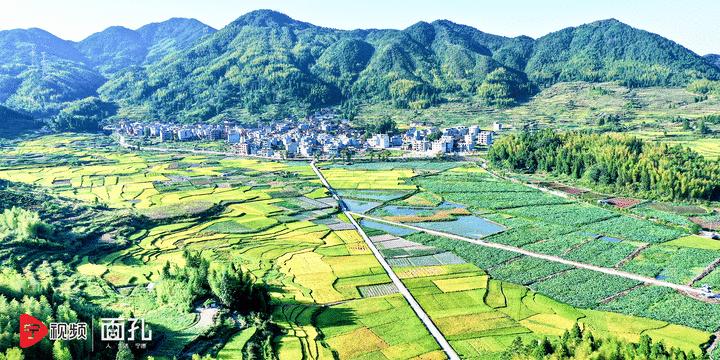 寿宁县大安乡银山花田,寿宁亭溪银山花田景区