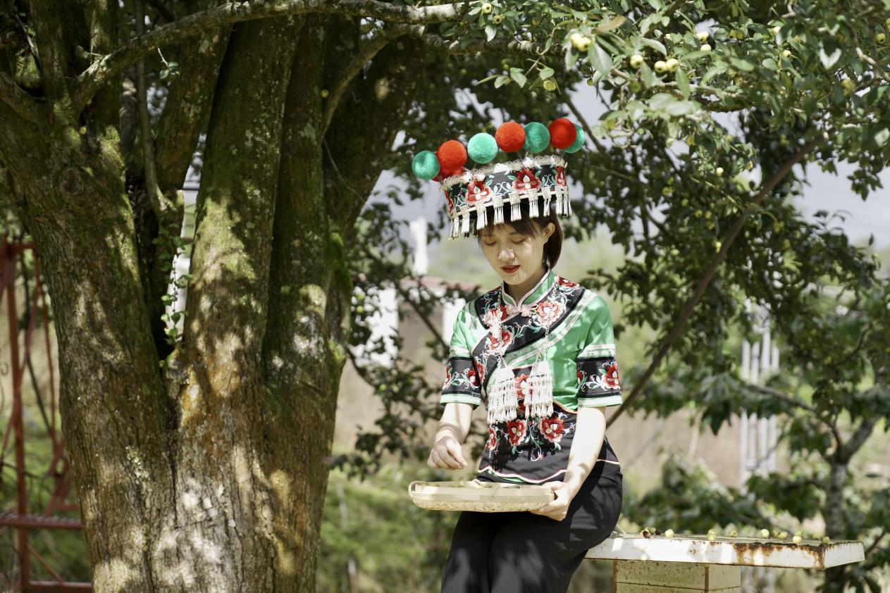 牟定农家乐和休闲农庄,牟定世外桃源山庄