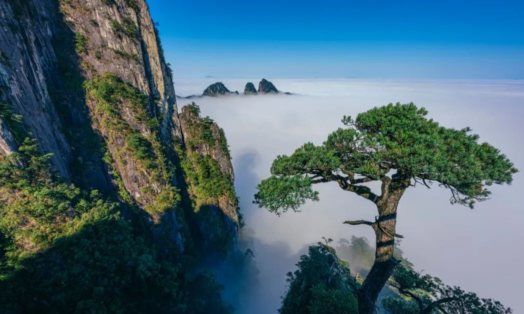 郴州被遗忘之地,郴州刚发现的宝藏地址