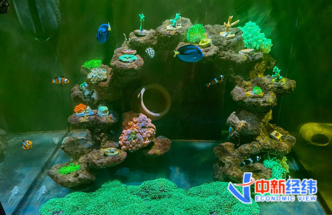 在酒吧一个月赚5w,酒吧一个月能赚3万