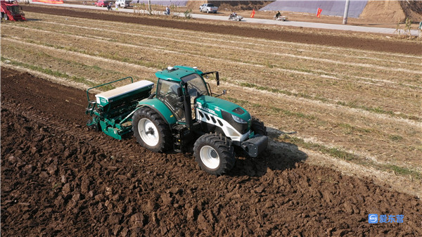 山东哪里的玉米最好,山东玉米高产前十名