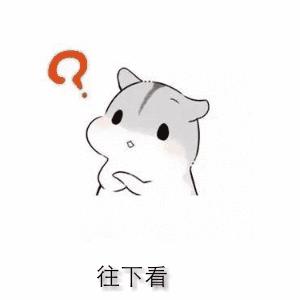 游客租用二轮摩托车酿事故，交警部门约谈租赁商家