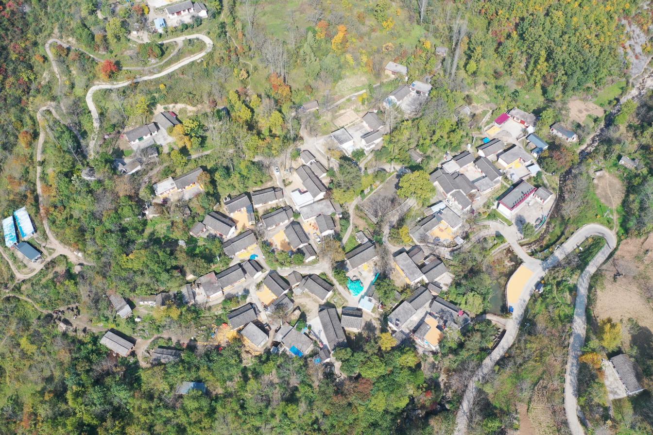 甘肃陇南乡村美景,成县乡村振兴项目最新消息