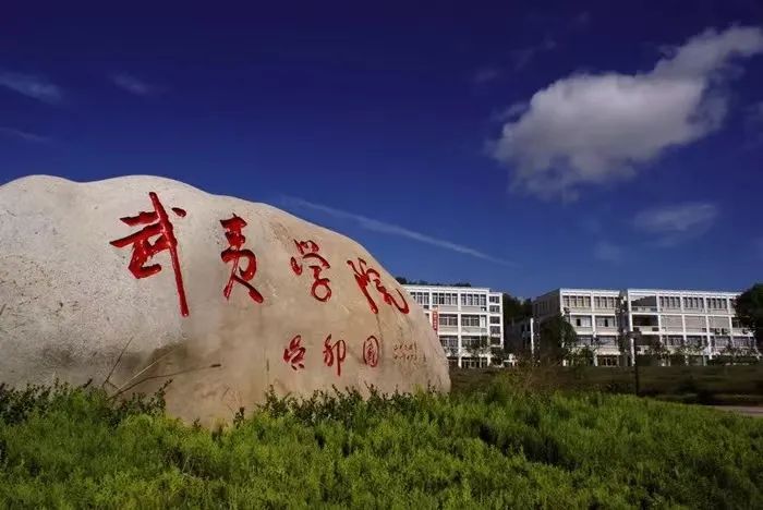 体育运动学校赛艇训练,体育课游泳项目