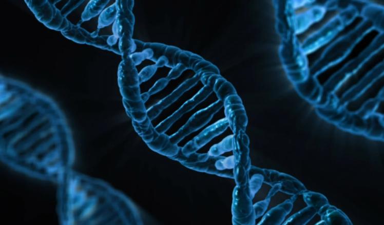 巨子生物重组胶原蛋白原理,巨子生物重组胶原蛋白精华