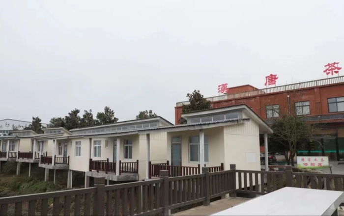 被忽视的凤鸣毛尖,被人们忽视的一款茶叶茶沫