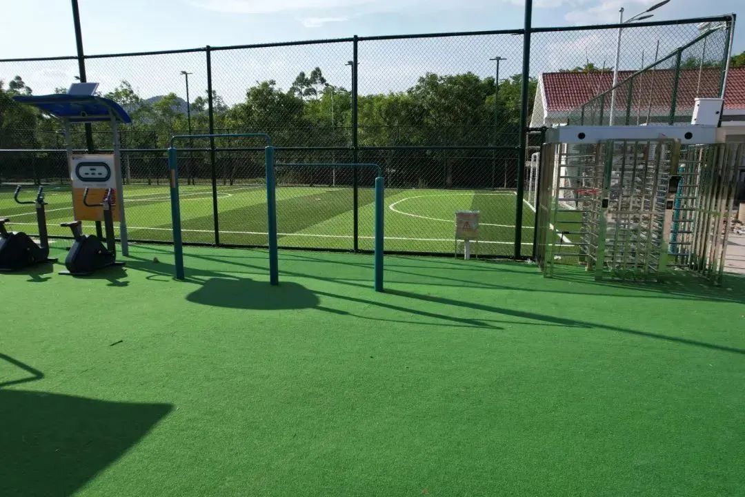 厦门运动景区,厦门周末好去处体育公园