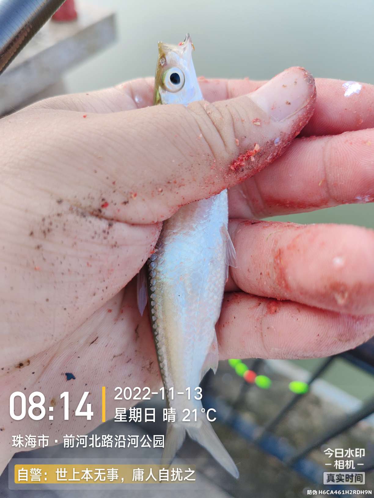 刷新了对钓鱼的认知,钓鱼的十个思维方法