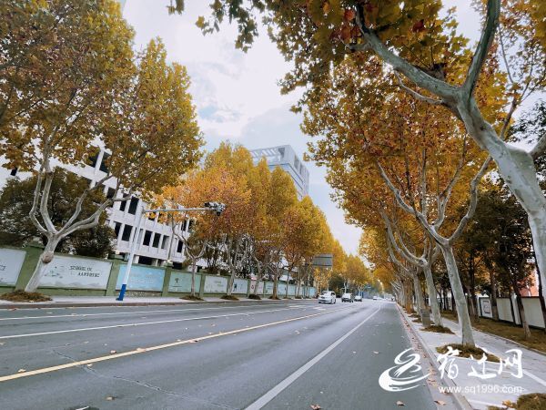 一眼心动光影写真,一眼心动的辽宁冬景