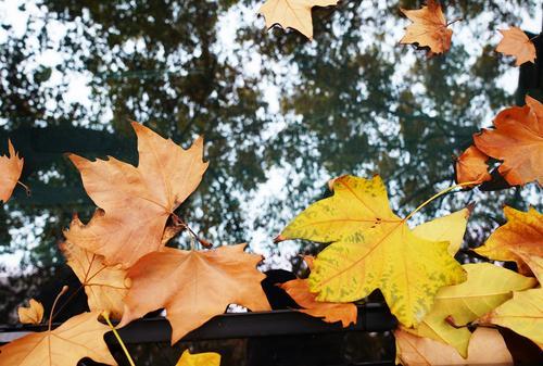 郑州雨中的浪漫,秋天郑州夜晚街头