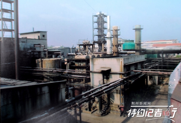 特约记者行：从饼干到苯酐树脂厂的高光时期