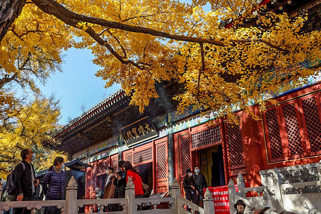 红螺寺秋游攻略,秋游千佛山森林公园