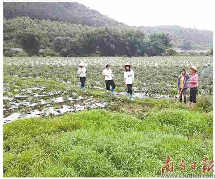 百年古镇注入时代活力,千年古镇未来蓝图已徐徐展开