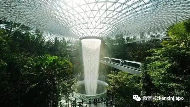 卡塔尔新加坡视频,卡塔尔和新加坡哪个大