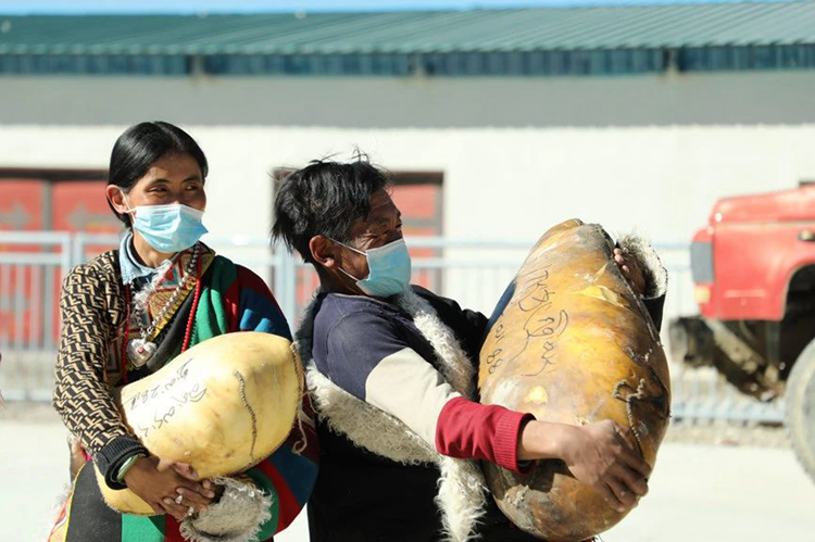 *藏西**阿里：牧区改革现成效年底分红笑开颜