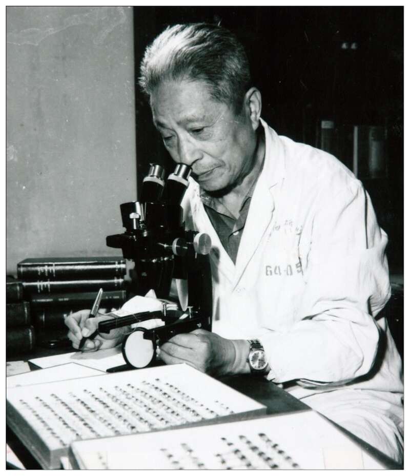 大国科学家｜陈世骧：中国昆虫学和分类学永远伫立的界碑