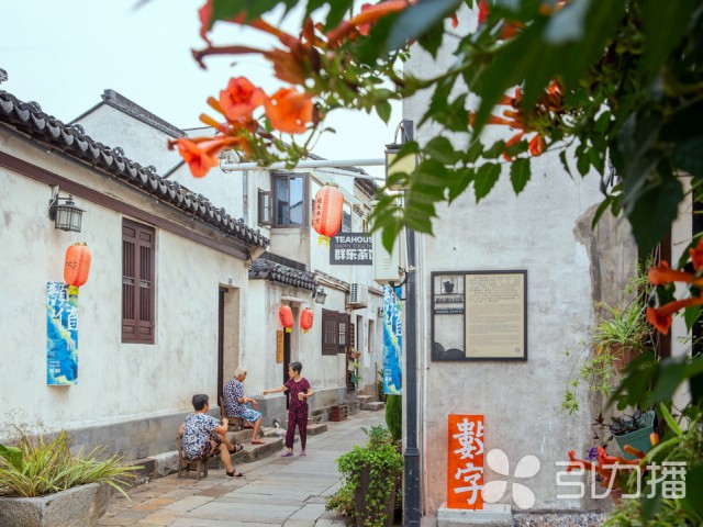 苏州乐园风景区现在开放吗,苏州乐园和苏州森林乐园是一个吗