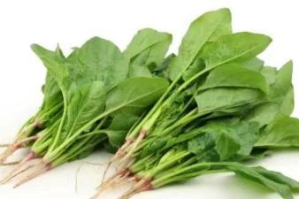 你好幼儿园主题活动方案,你好幼儿园活动