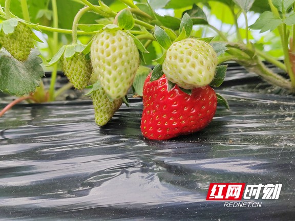 探寻湘西最美村落,探寻湘西古村落