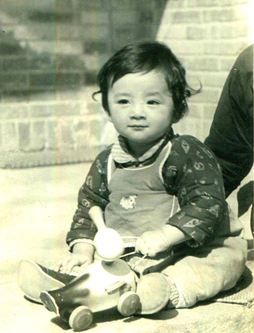 我的同学梁从诫：求学时代