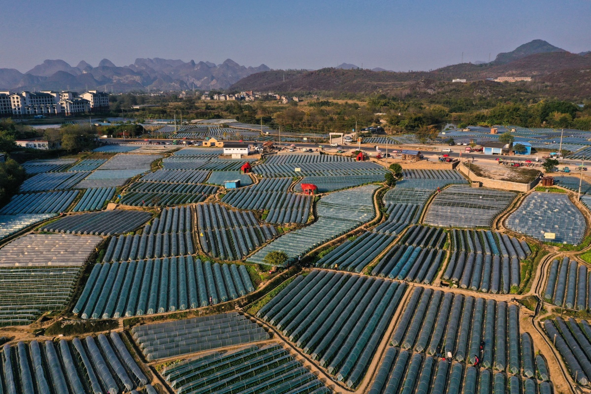 广西最佳旅游乡村大寨村,广西大寨入选世界最佳旅游乡村