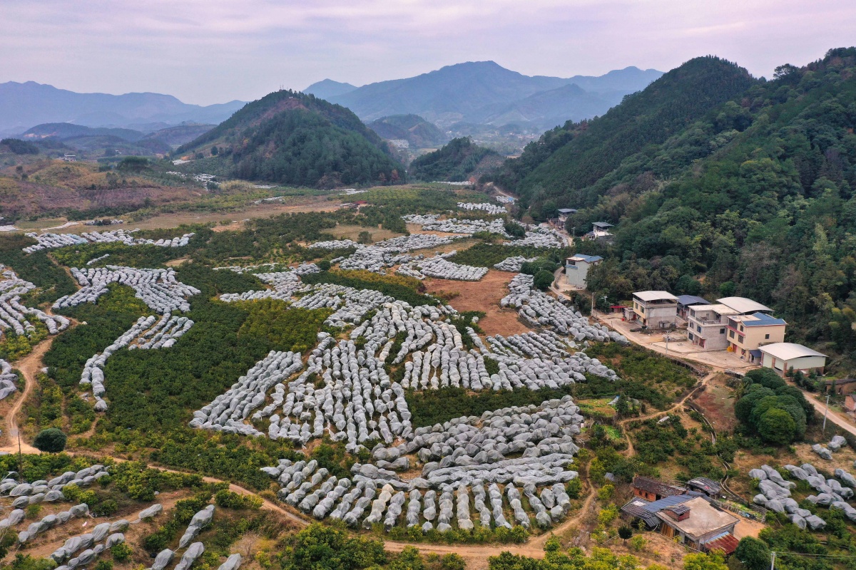 大美中国最美广西,大美中国之广西北部湾