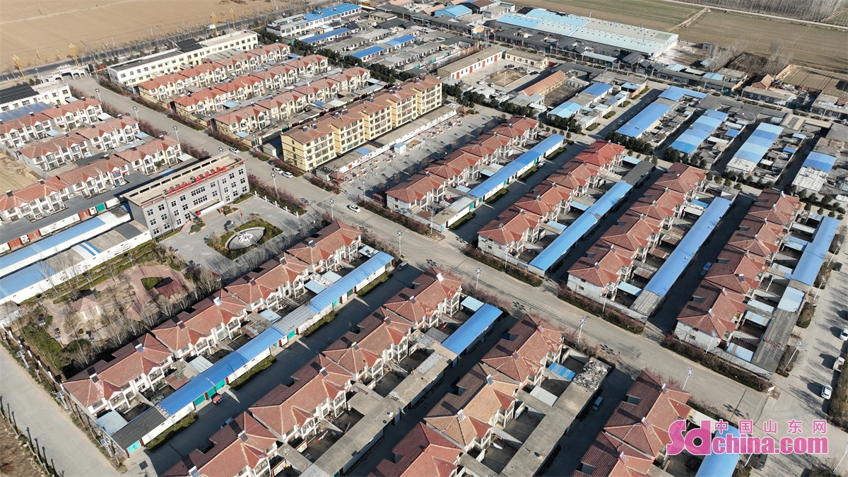 山东聊城乡村风景,聊城美丽乡村绿化石材