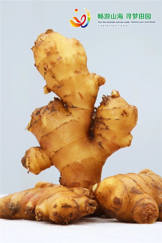 威海“姜”山如此多娇，引无数英雄竞折腰