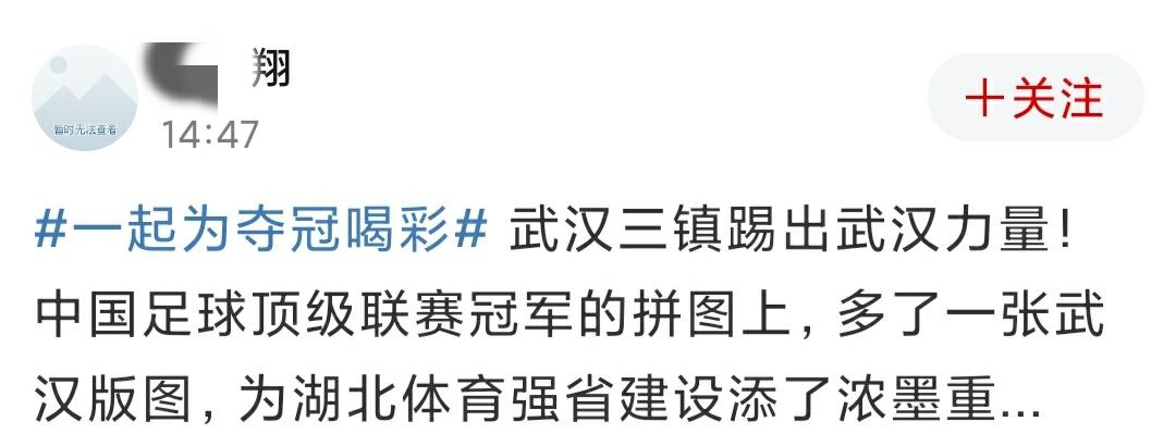 武汉三镇足球俱乐部夺冠直播,武汉三镇夺冠直播足球比赛