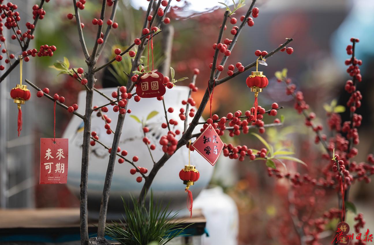 元旦节刊·花市|花如海人如潮，行过花街才过年