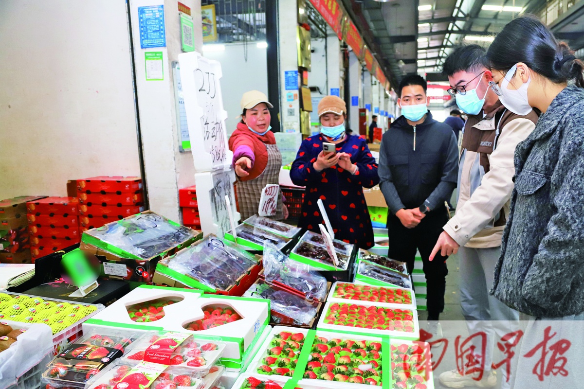 南宁榴莲价格行情,今日广西南宁水果市场行情