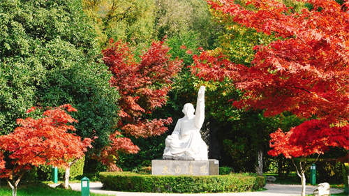 金徽酒最新重要消息,金徽酒为何逆袭