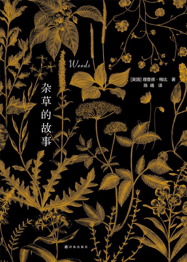 2022年度文学好书榜推荐书单,收藏2022年中国好书推荐书单