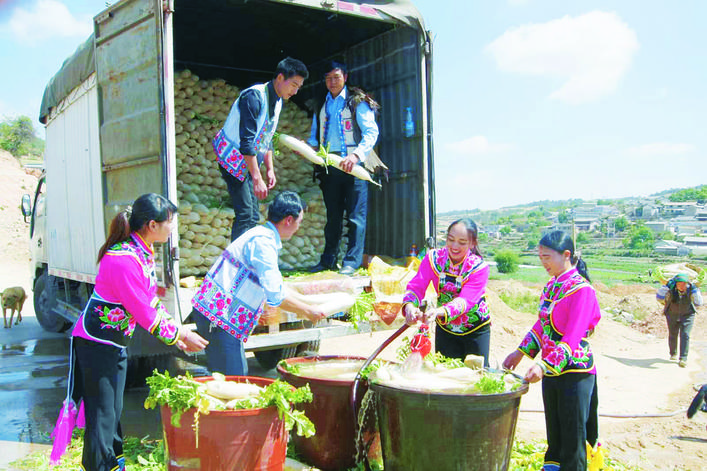 萝卜丰收农民笑开颜,萝卜迎丰收村民笑开怀