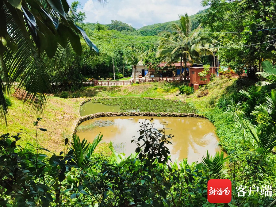 新春走基层聚力发展,新春走基层为乡村振兴添薪