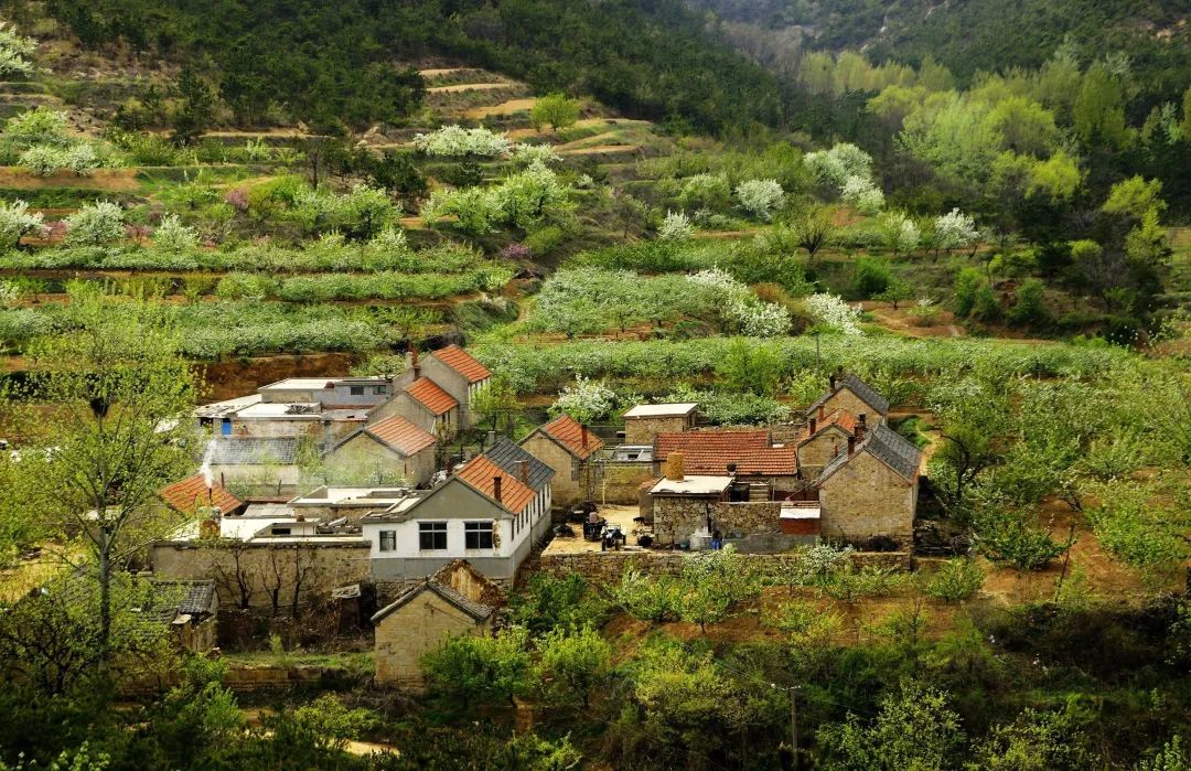 文旅部国家级乡村旅游重点镇,山东发布首批精品文旅小镇名单