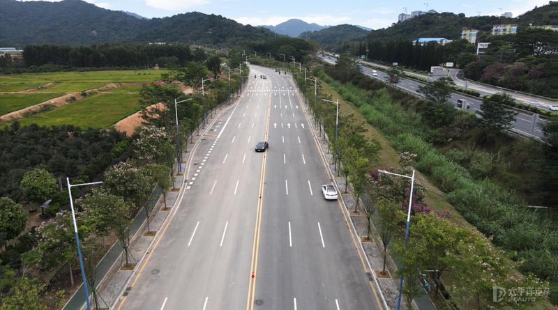 model3用的是ev专用轮胎吗,model3pzero轮胎