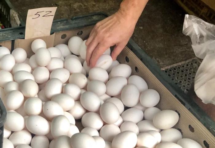 小确幸最近消息,小确幸与悲哀