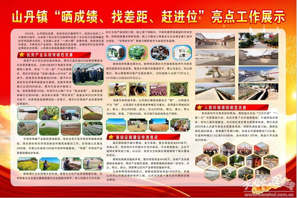 武山县重点工作会议,武山县乡村振兴四个一批