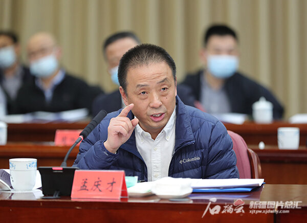 代表委员履职合集,企业家委员履职风采