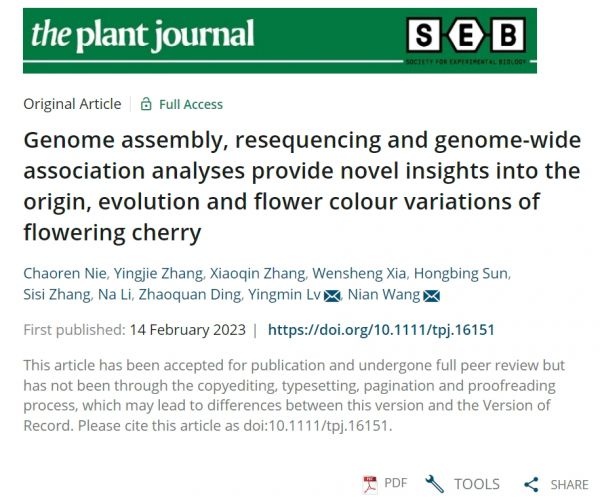 在樱花校园怎么找到自己的老家,樱花最开始的初始地是哪里
