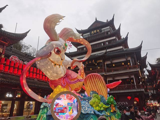 上海4天游玩小孩攻略,带娃上海3天2晚旅游攻略