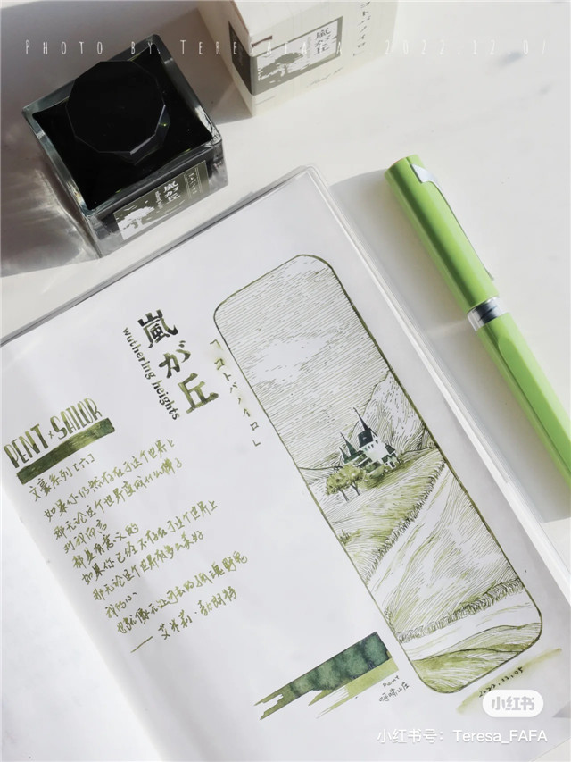 z世代的兴趣,z世代兴趣爱好