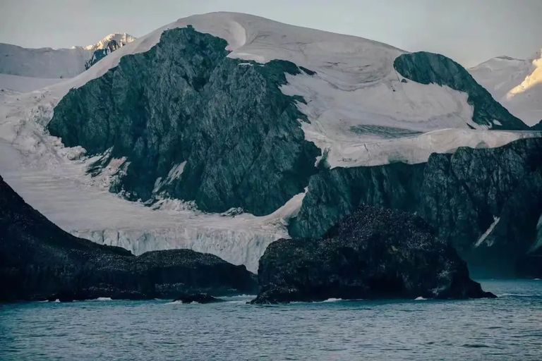 谁花了20万去南极找罪受？？